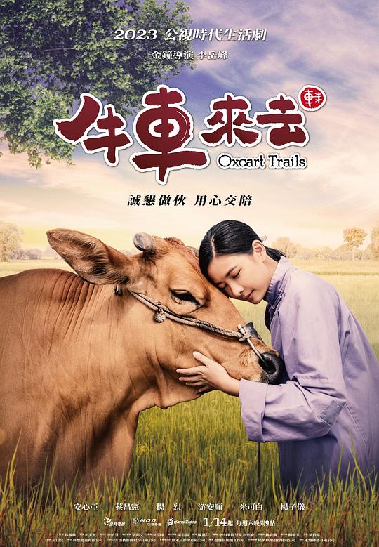 魅影直播app是否合法了